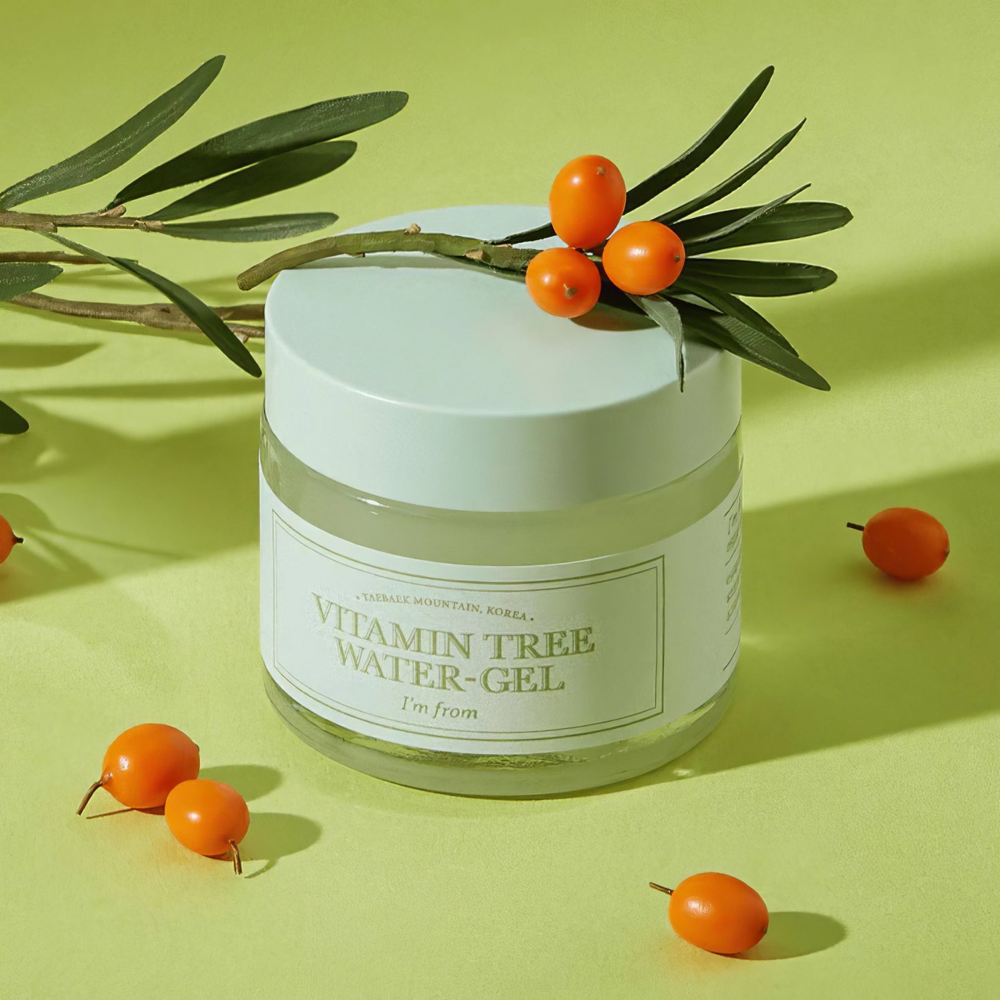 I'm From Vitamin Tree Water-Gel 75g-Wonder Skin