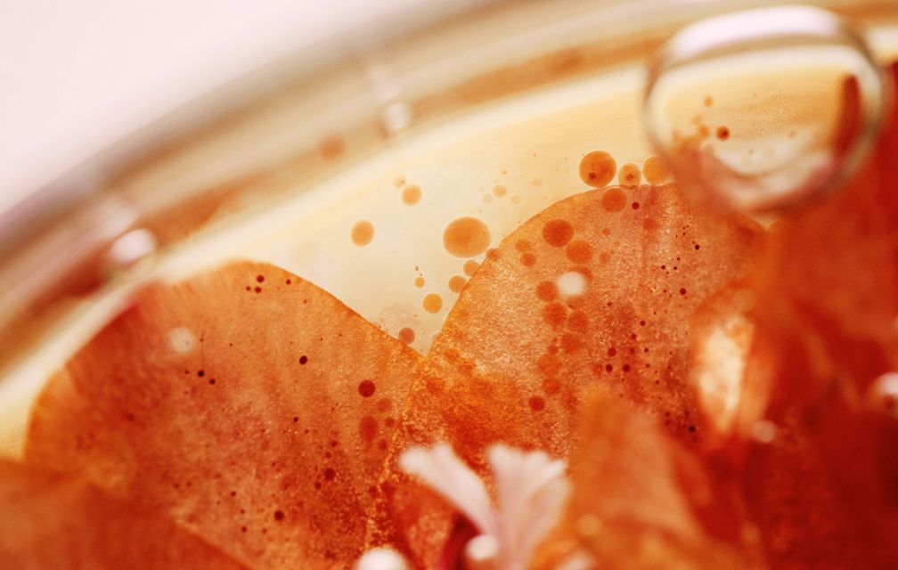 🍶 Die Kraft der Fermentation: Wie koreanische und japanische Kosmetik Superkräfte in der Hautpflege freisetzen-Wonder Skin