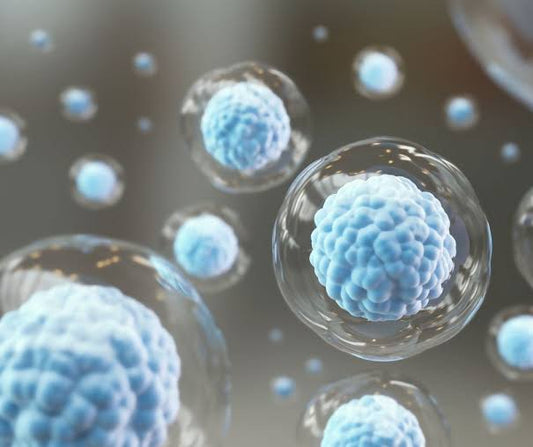 Exosomen in der Hautpflege: Was wirklich dahintersteckt-Wonder Skin