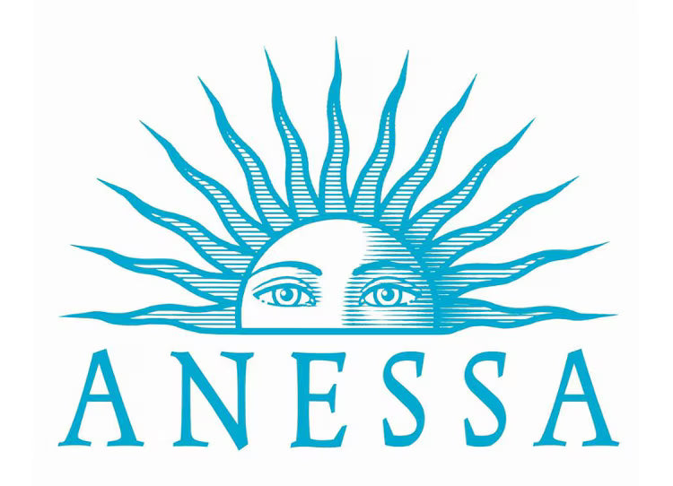 Anessa-Wonder Skin
