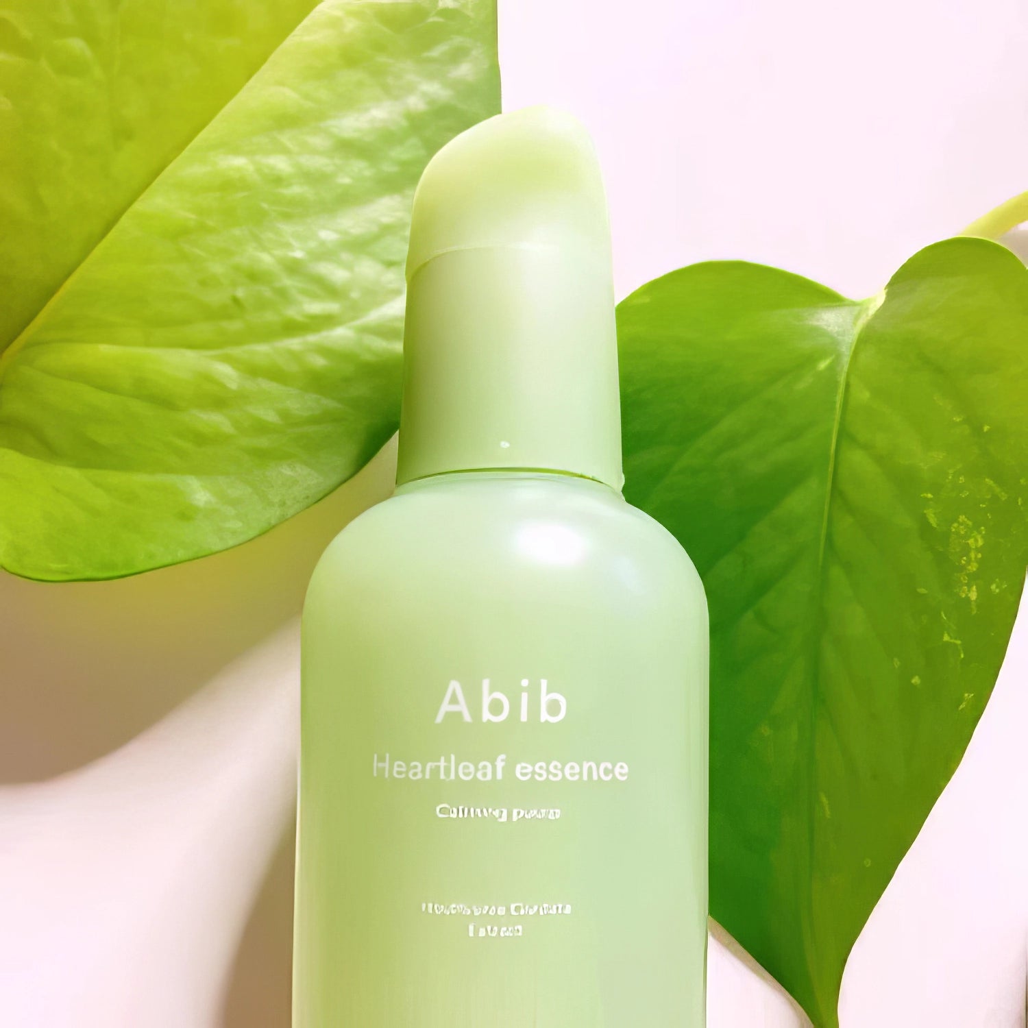Abib Heartleaf Essence Calming Pump 50ml-Wonder Skin