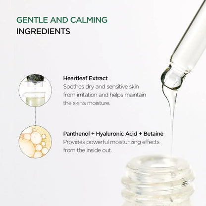 Anua Heartleaf 80% Soothing Ampoule 30ml-Wonder Skin
