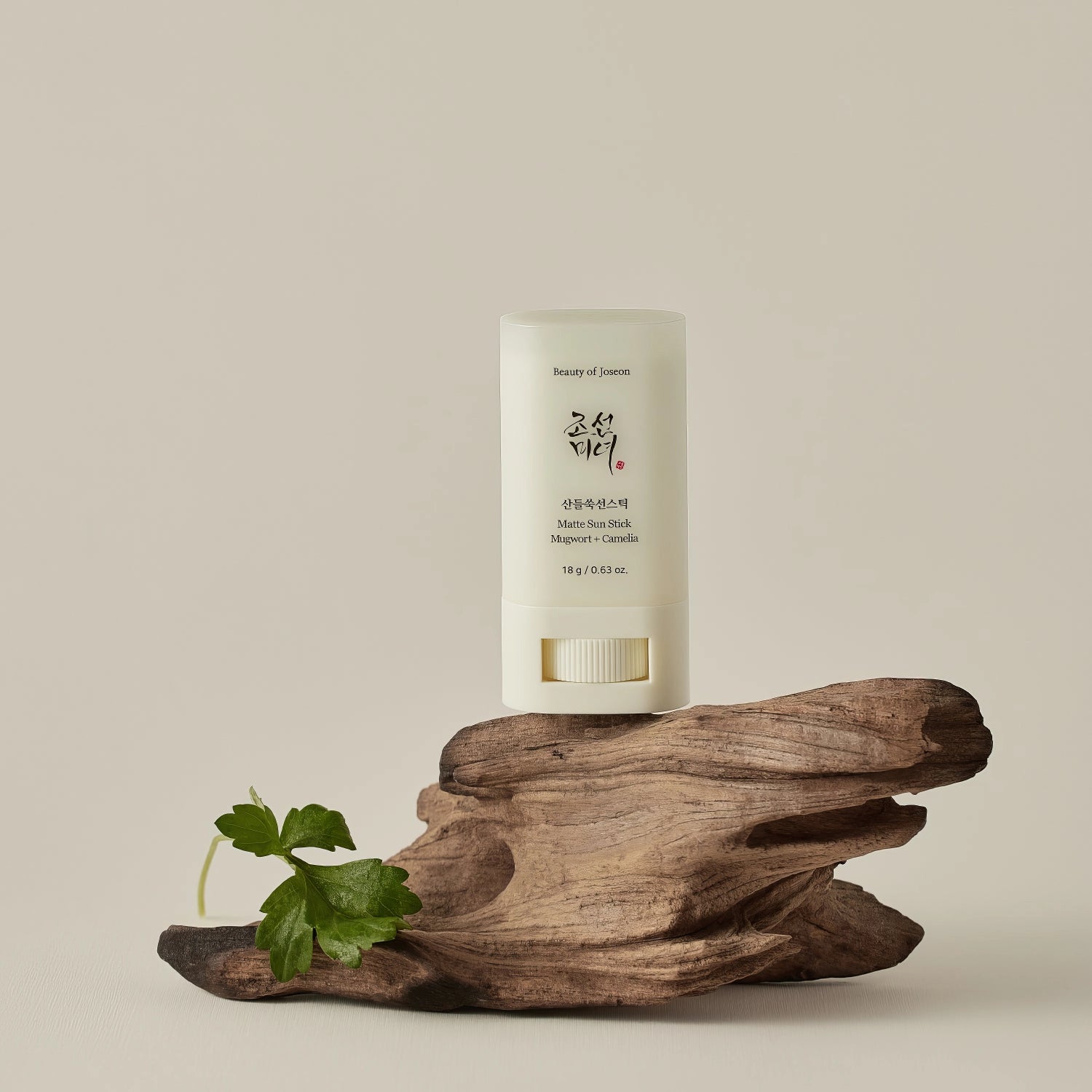 Beauty of Joseon Matte Sun Stick Mugwort + Camelia SPF50+ PA++++ 18g-Wonder Skin
