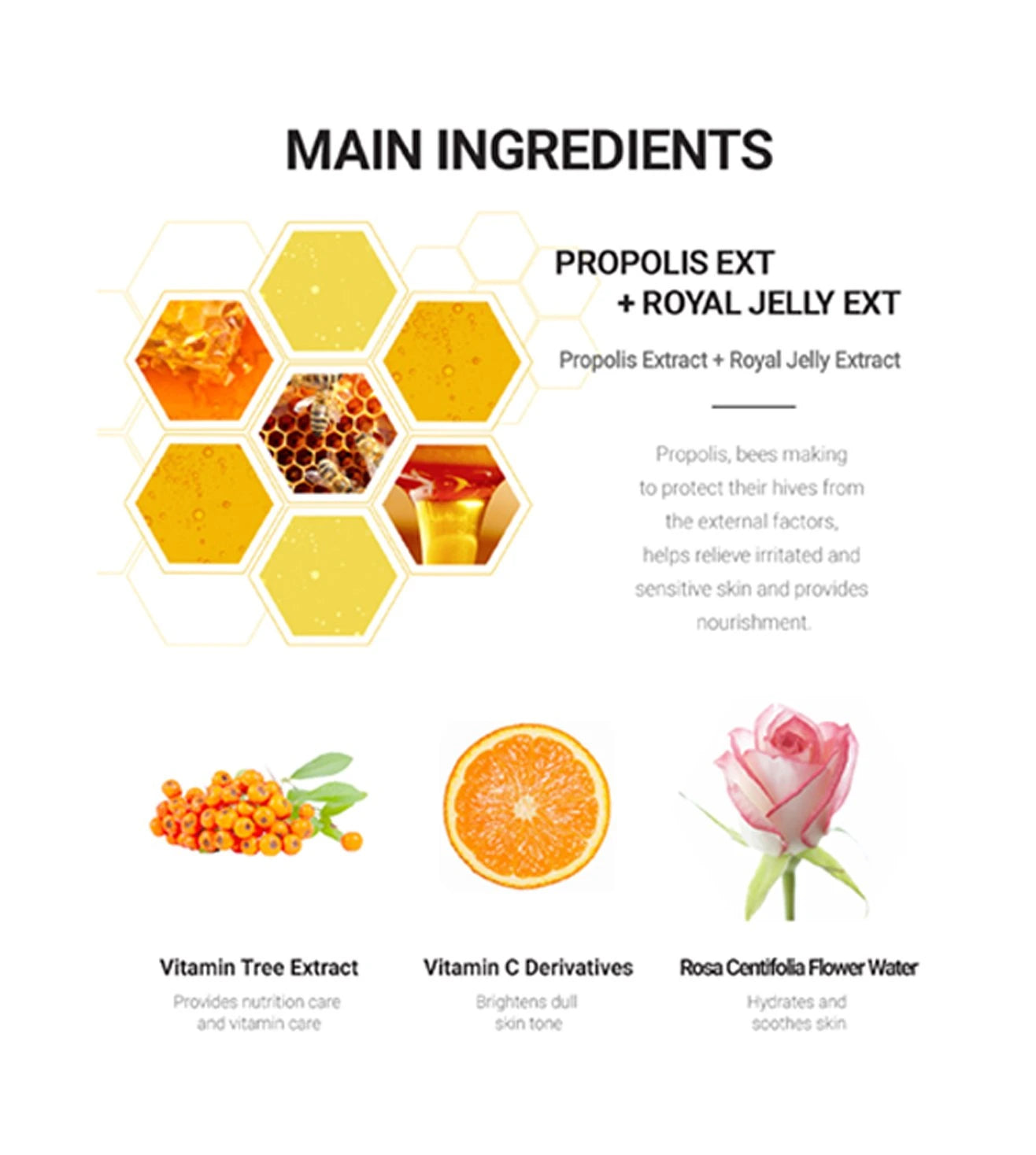 Dr. Ceuracle Royal Vita Propolis 33 Ampoule 15ml-Wonder Skin