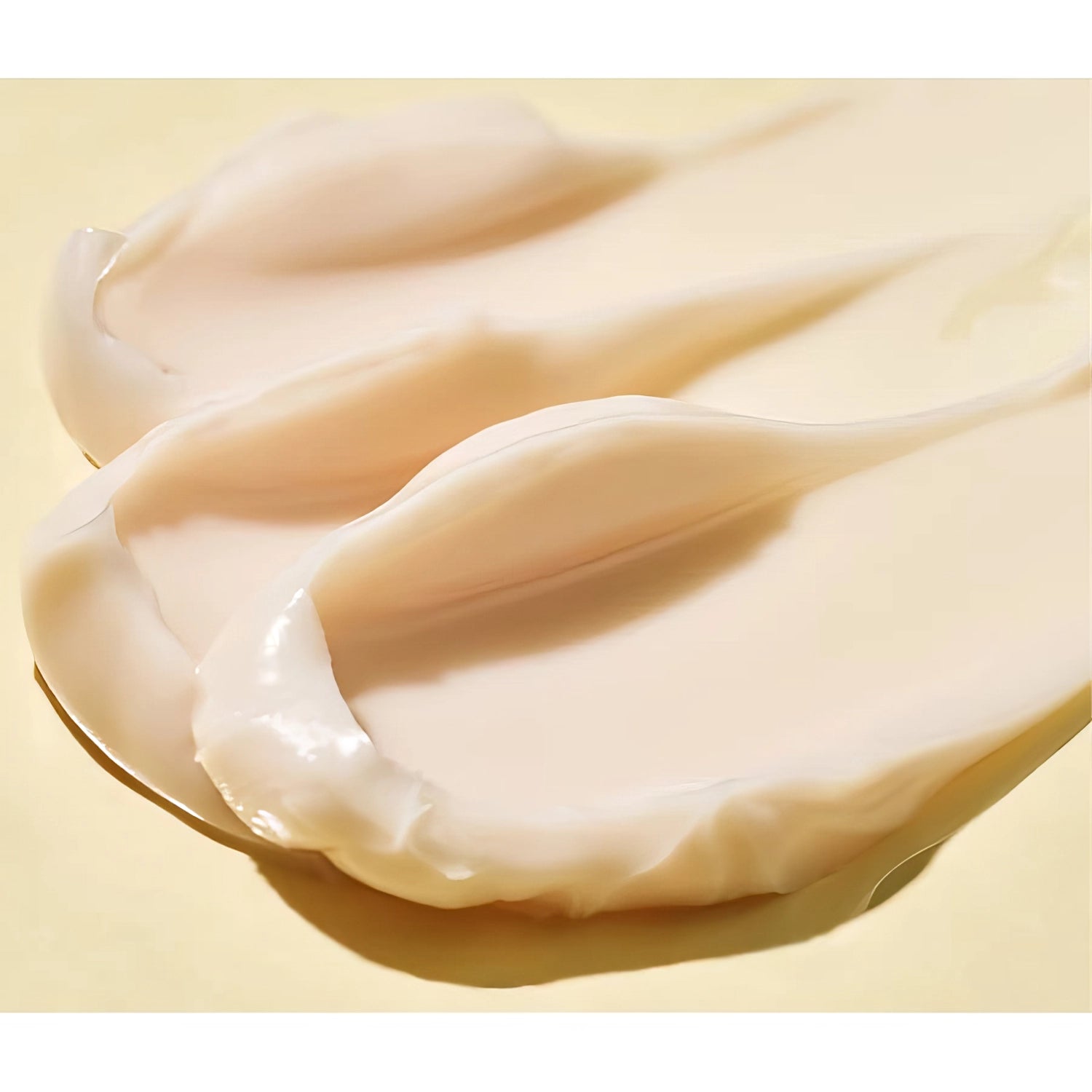 Dr.Jart+ Ceramidin Ectoin-Infused Cream 50ml-Wonder Skin