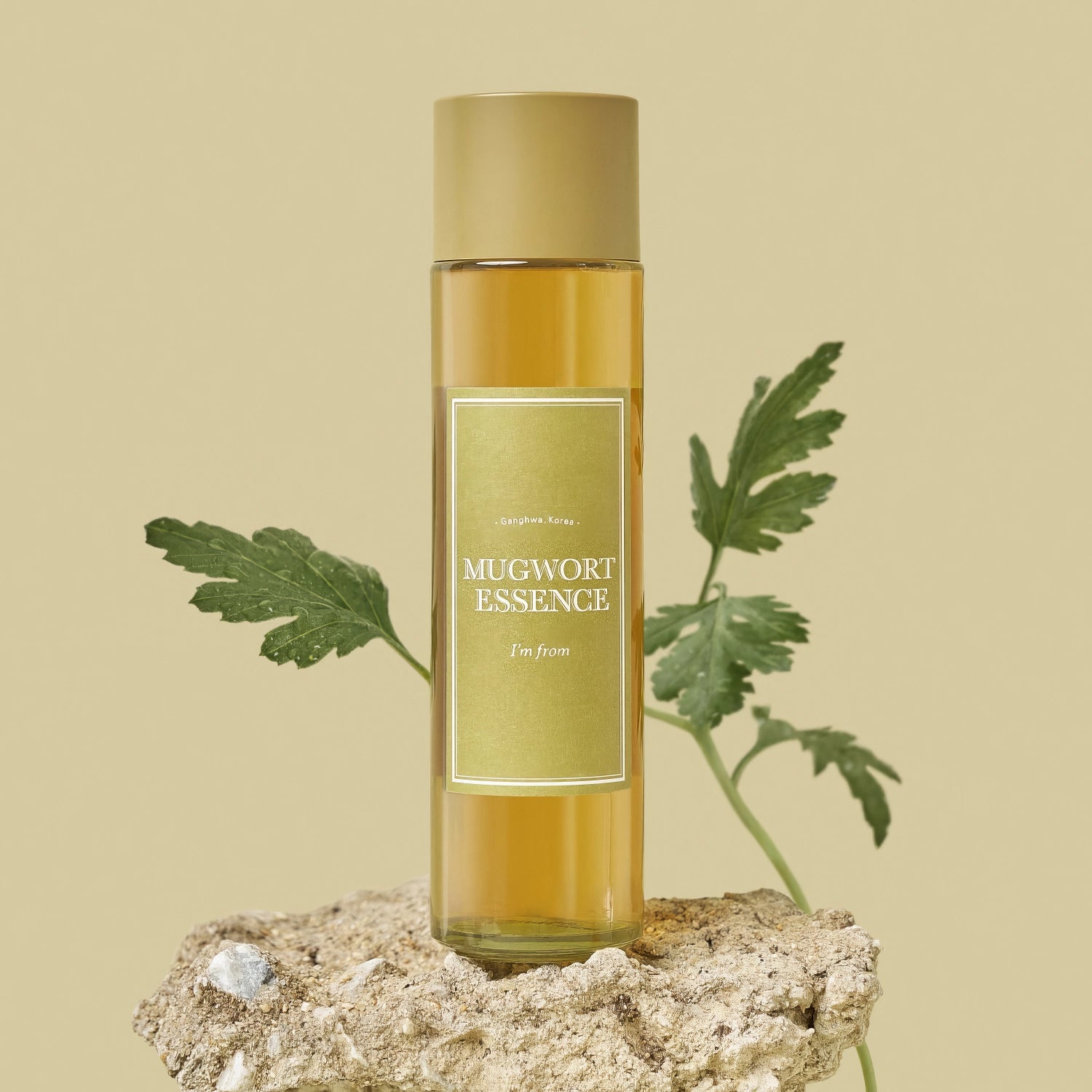 I'm From Mugwort Essence 160ml-Wonder Skin
