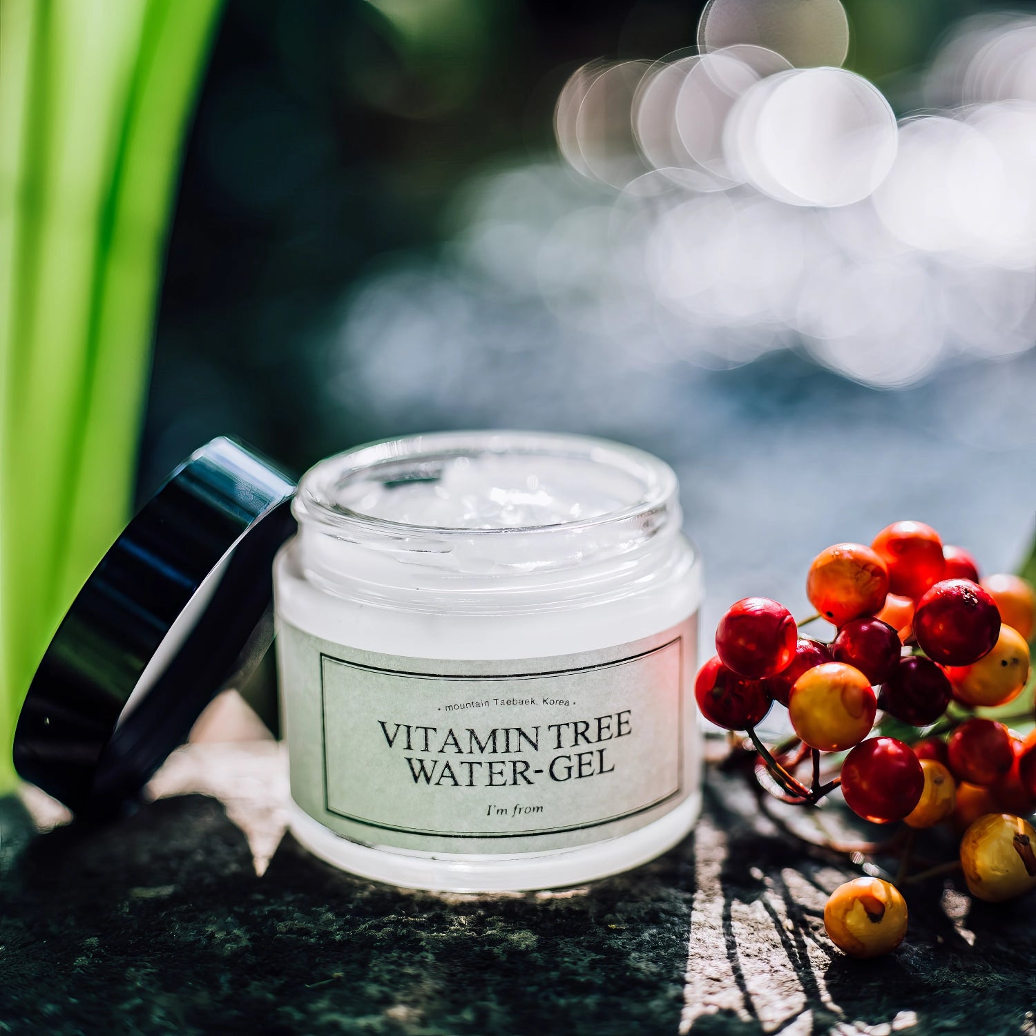 I'm From Vitamin Tree Water-Gel 75g-Wonder Skin