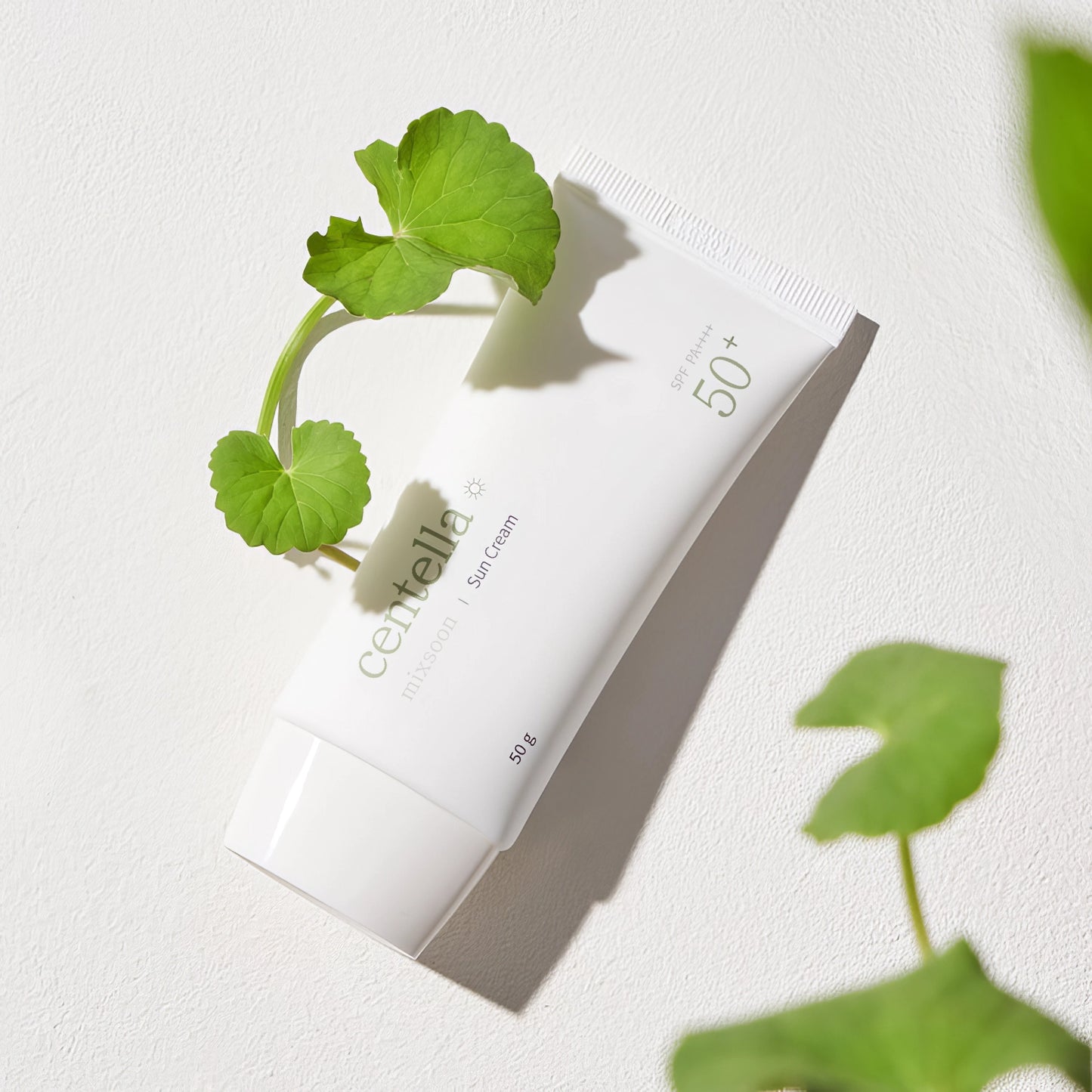 Mixsoon Centella Sun Cream SPF50+/PA++++ 50g-Wonder Skin