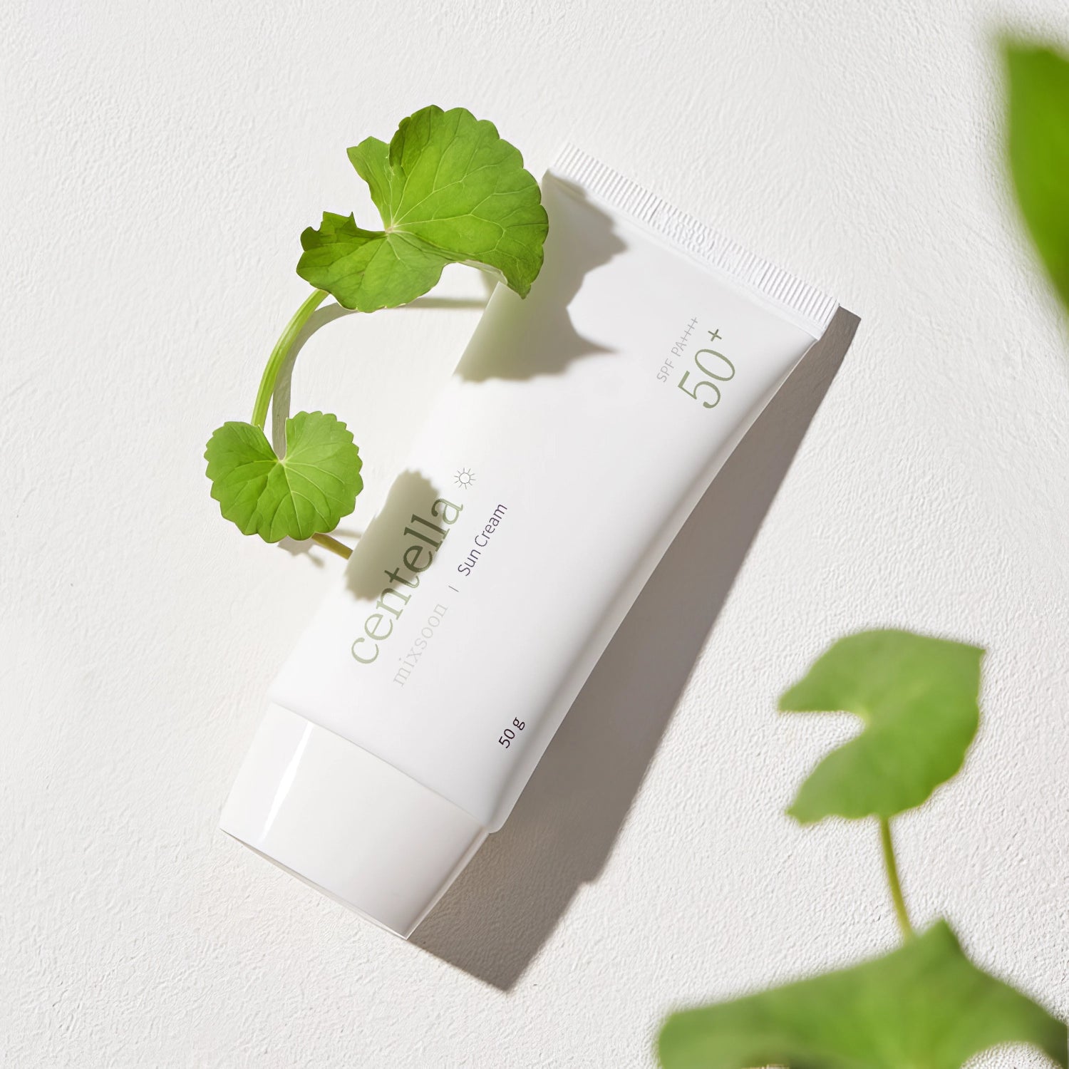 Mixsoon Centella Sun Cream SPF50+/PA++++ 50g-Wonder Skin