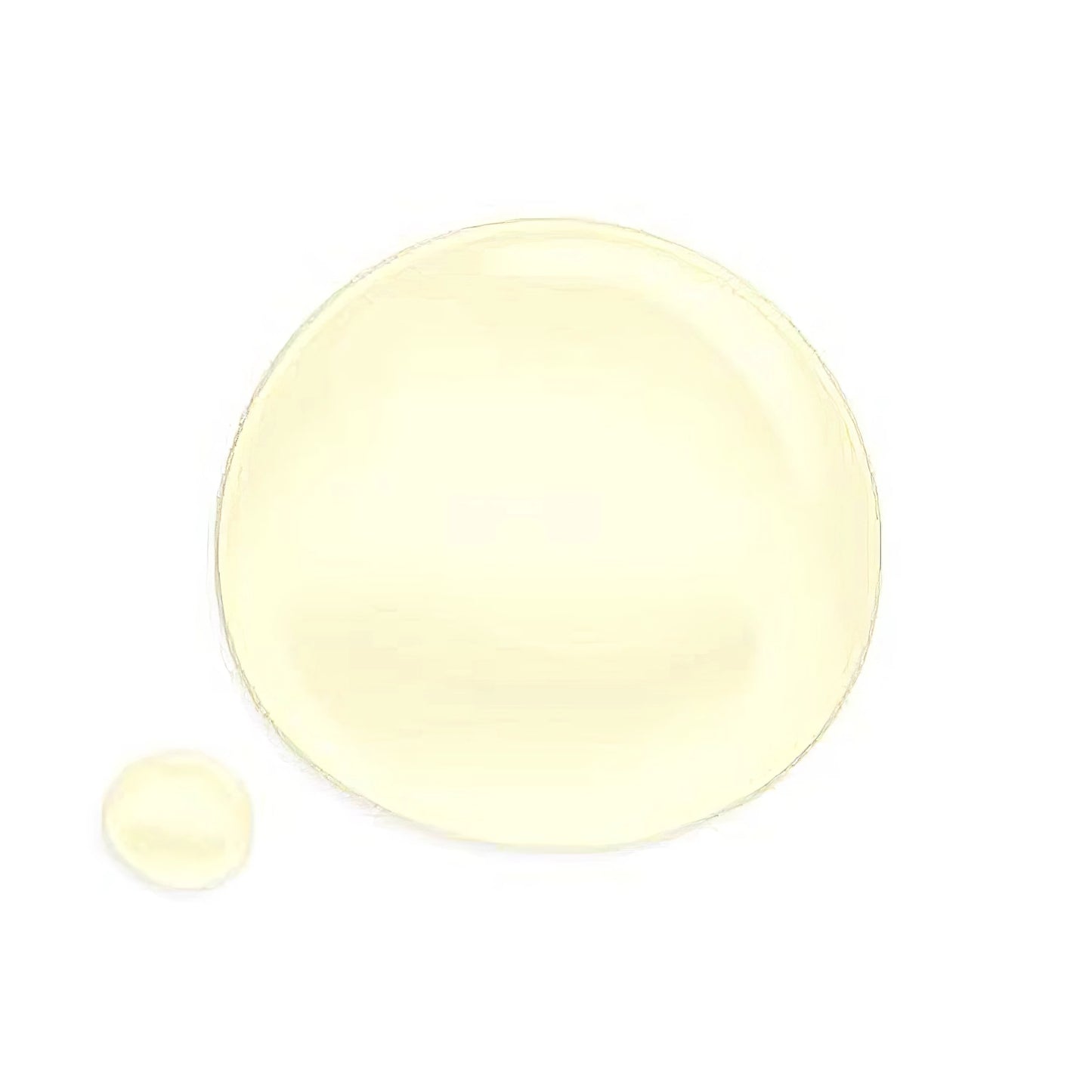 Round Lab 1025 Dokdo Cleansing Oil 200ml-Wonder Skin