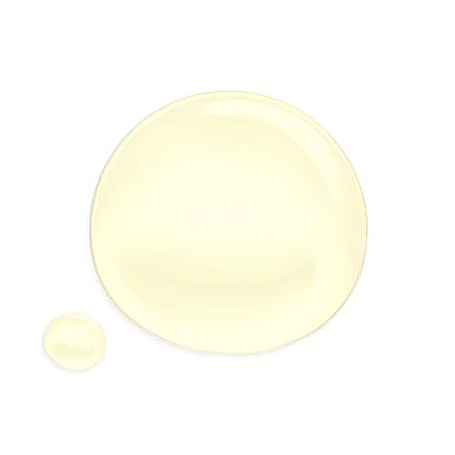 Round Lab 1025 Dokdo Cleansing Oil 200ml-Wonder Skin