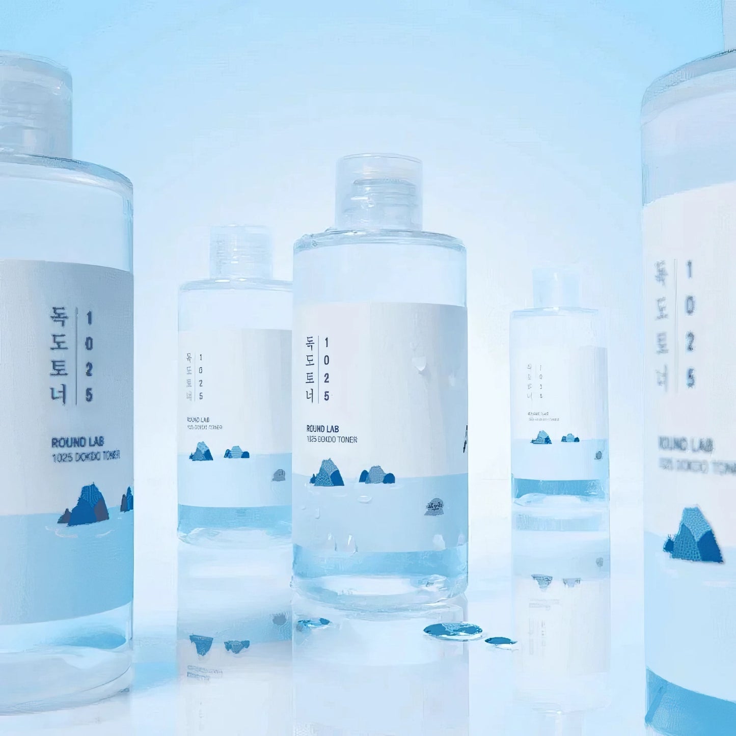 Round Lab 1025 Dokdo Toner 100 ml-Wonder Skin