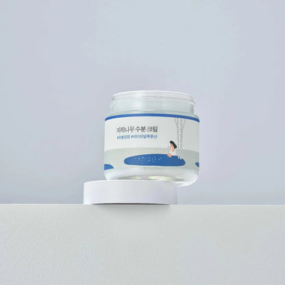 Round Lab Birch Juice Cream 80 ml-Wonder Skin