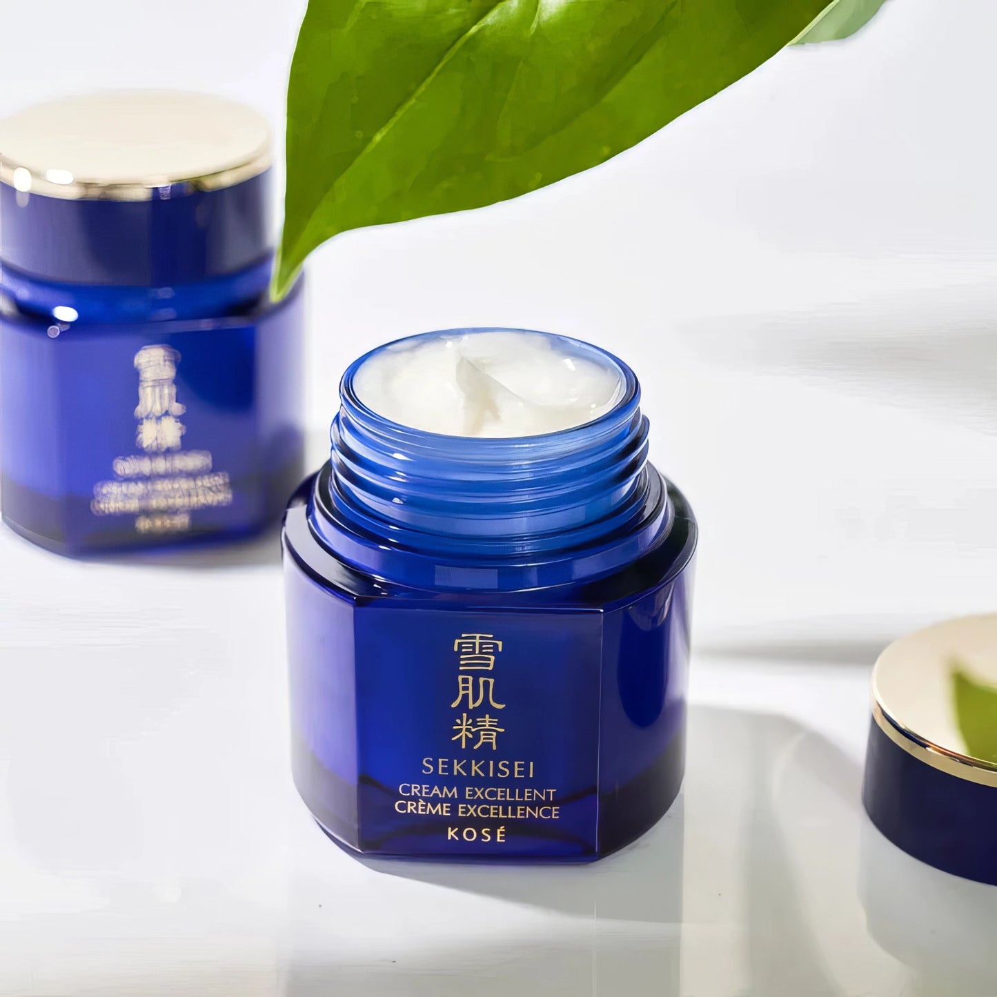 Sekkisei Cream excelent 50g-Wonder Skin
