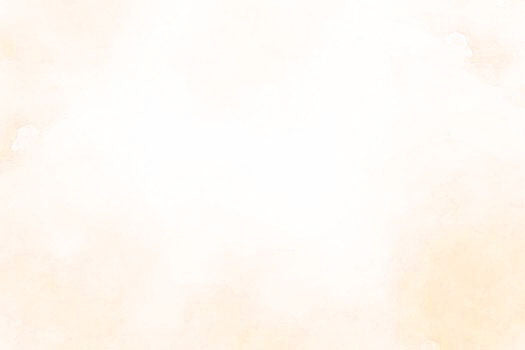 soft_rice_cream-Wonder Skin