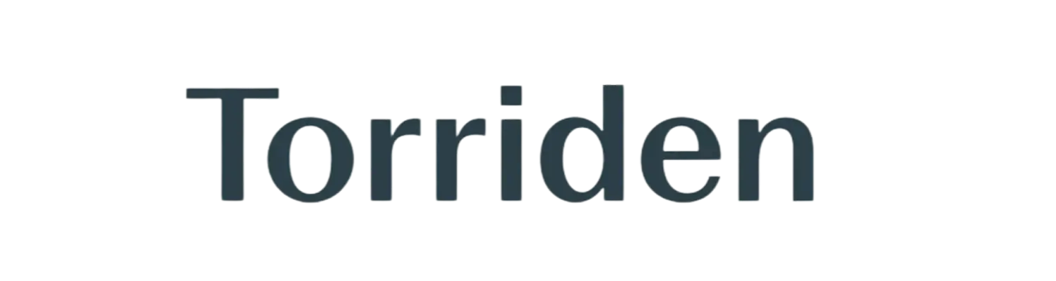 Torriden official logo